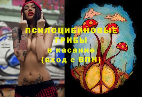 спиды Кинешма