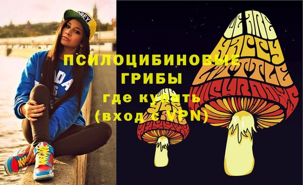 спиды Кинешма