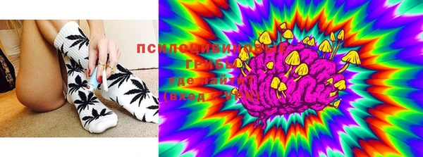 спиды Кинешма