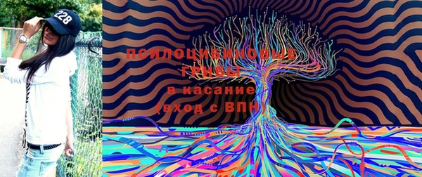 спиды Кинешма