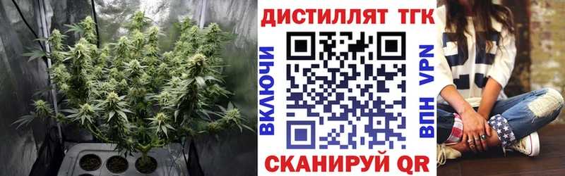 Купить закладки  Белозерск  ТГК THC oil 