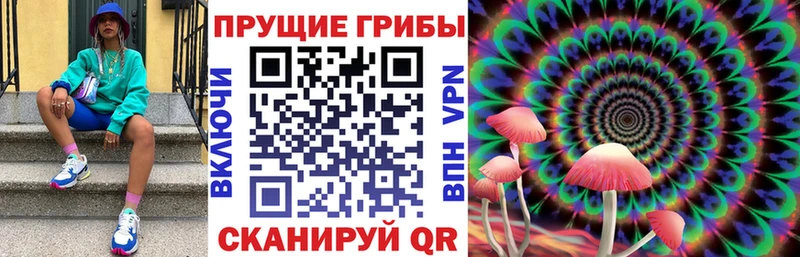 Купить  Белозерск  Псилоцибиновые грибы Psilocybine cubensis 